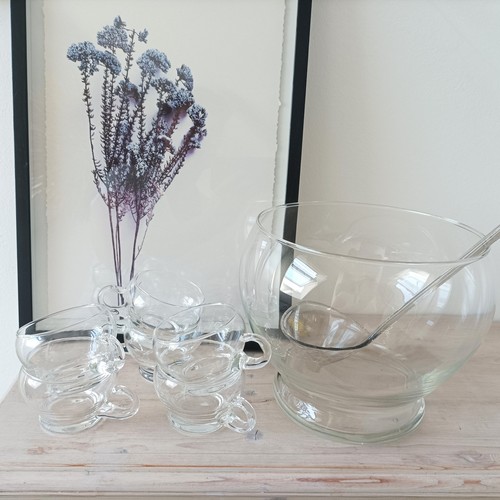 Erdbeer obst bowle set - erdbeer,