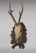 100905 imposanter 6-Ender