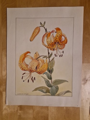 Aquarell walter davids - walter, davids-drews