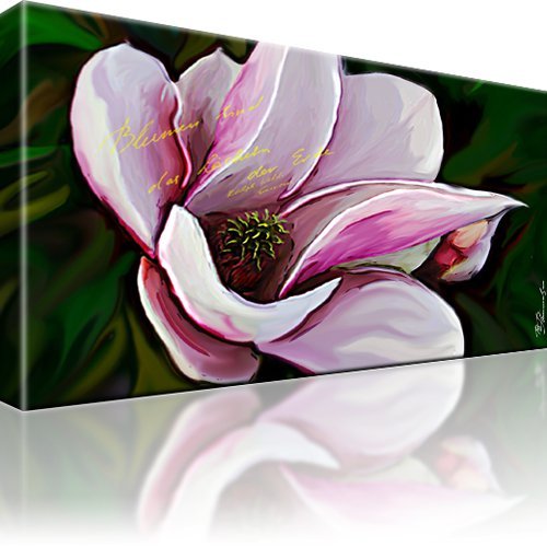 Magnolie blume bild - magnolie,