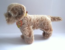 Steiff RAUDI DACKEL  Dachshund 1317,07 nur 1965 - 1967 gefertigt  17 cm sehr gut