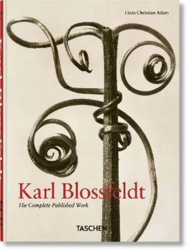 Hans christian adam - hans, karl