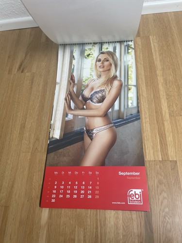 Febi bilstein kalender 2013 - bilstein,