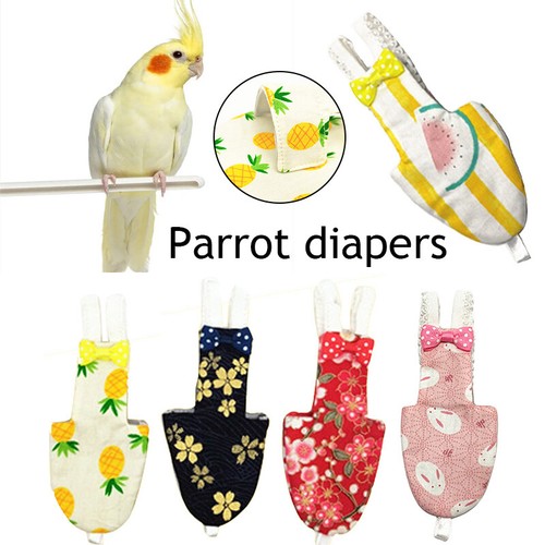 Für vogel papagei windel - vogel,