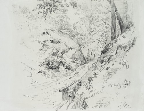 Müller - mÜller, (1839-1904)