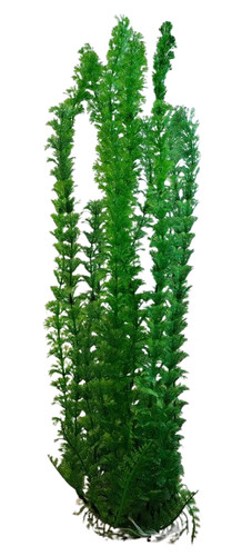 Kunststoff aquarium pflanze - kunststoff,