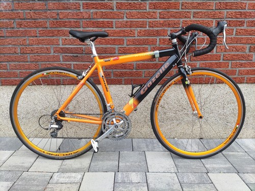 Kleines 50cm gazelle - xs, s