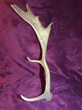 Abwurfstange Rothirsch