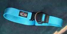 More 4 dogs Halsband Klick