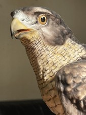 AK Kaiser GOSHAWK Vogel Figur
