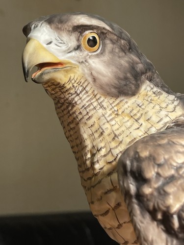 Kaiser goshawk vogel figur - kaiser,