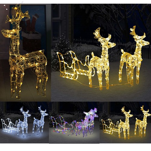 Led rentier mit schlitten - mit,