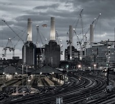 Pink floyd animals 2018 - pink, (2018