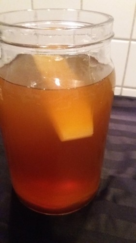 Kombucha scoby teepilz - kombucha,