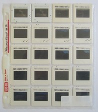 10 Yellowstone National Park 2