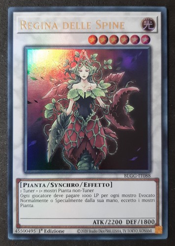 Regina delle spine ultra - regina,