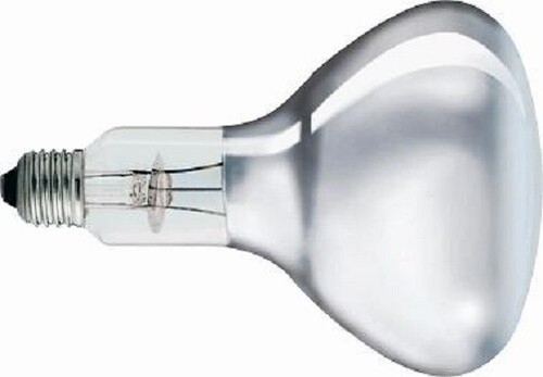 Infrarot lampe 250w r125 - ir,