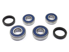 Radlager Satz 25-1646 hinten