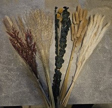 DIY Pampasgras Trockenblumen