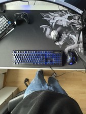 Steelseries Gaming Tastatur + Steelseries Gaming Maus