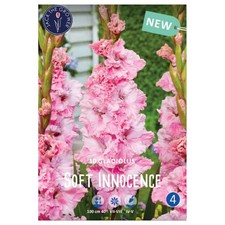 Lefeber Blumenzwiebeln