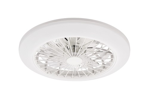Deckenventilator mit