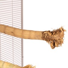 JAVA - Bambussitzstange mit