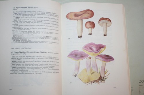 Taschenbuch für pilzsammler - für,