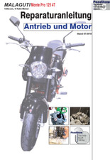 Reparaturanleitung RIS Malaguti Monte Pro 125, 4T, Antrieb und Motor