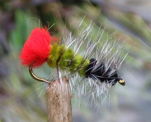 Gilchrist fliegen woolly - 3, x
