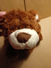 süßer NICI Bär  Teddy