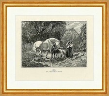 Idylle W. Emele Kinder Tiere Pferd Fohlen Baby Bauernhof Garten Holzstich A 0102