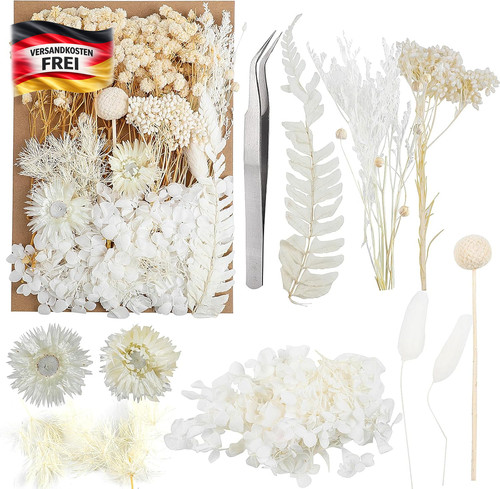 Trockenblumen set für - trockenblumen,