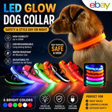 Dog Collar Nylon LED Night