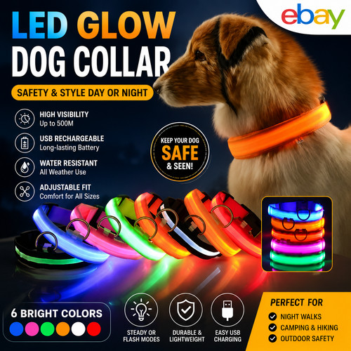 Dog collar nylon led night - collar,