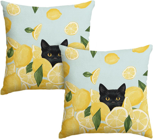 Schwarze katze zitrone - schwarze,