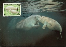 AK MK WWF Der Nagel-Manati mit Jungtier Marke Stempel Togo 1984 (Nr. 1956)