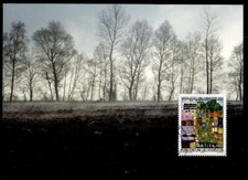 F. Hundertwasser, EXPO-2000