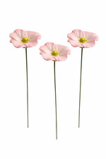 Blüte Keramik rosa 3erSet