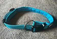 Halsband,Hund,AniOne,Größe