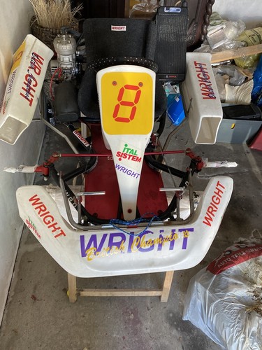 Rennkarts neu nie gefahren - 1,