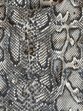 ZARA Top Shirt Bluse Snake Print  M L 40 42 neu