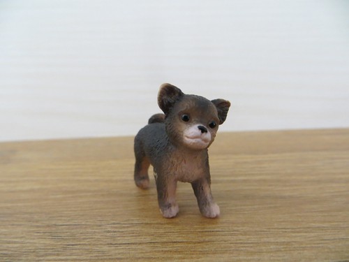 Niedlicher schleich chihuahua - niedlicher,