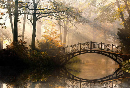 Fototapete vlies herbst wald - fototapete,