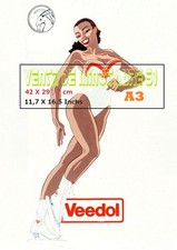 Veedol Sagittarius Pin Up -