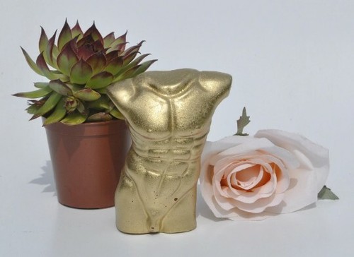 Männlicher torso statue gips - torso,
