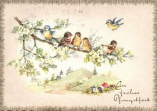 AK Meise, Buchfink auf Blütenzweig, frohes Pfingstfest 1960 (Nr. 1567)