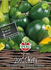 MHD 01.2026    Sperli Zucchini Eight Ball F1 Hybride, Billardkugel groß Samen