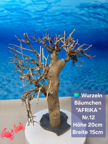 Aquarium garnelen wurzel - 🌳aquarium,
