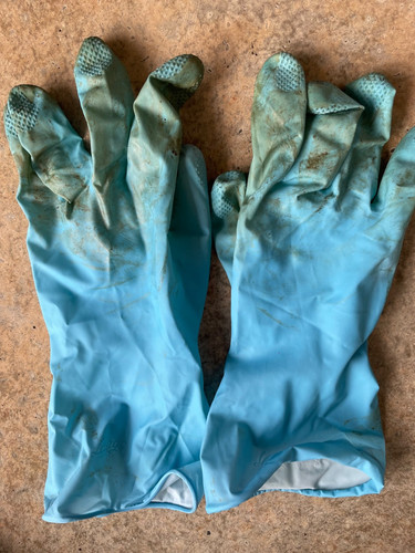 Blaue damen gummihandschuhe l - blaue,